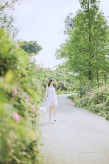 少女完整版在线观看